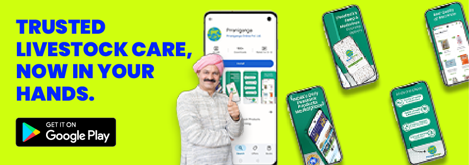 PrraniGanga promo