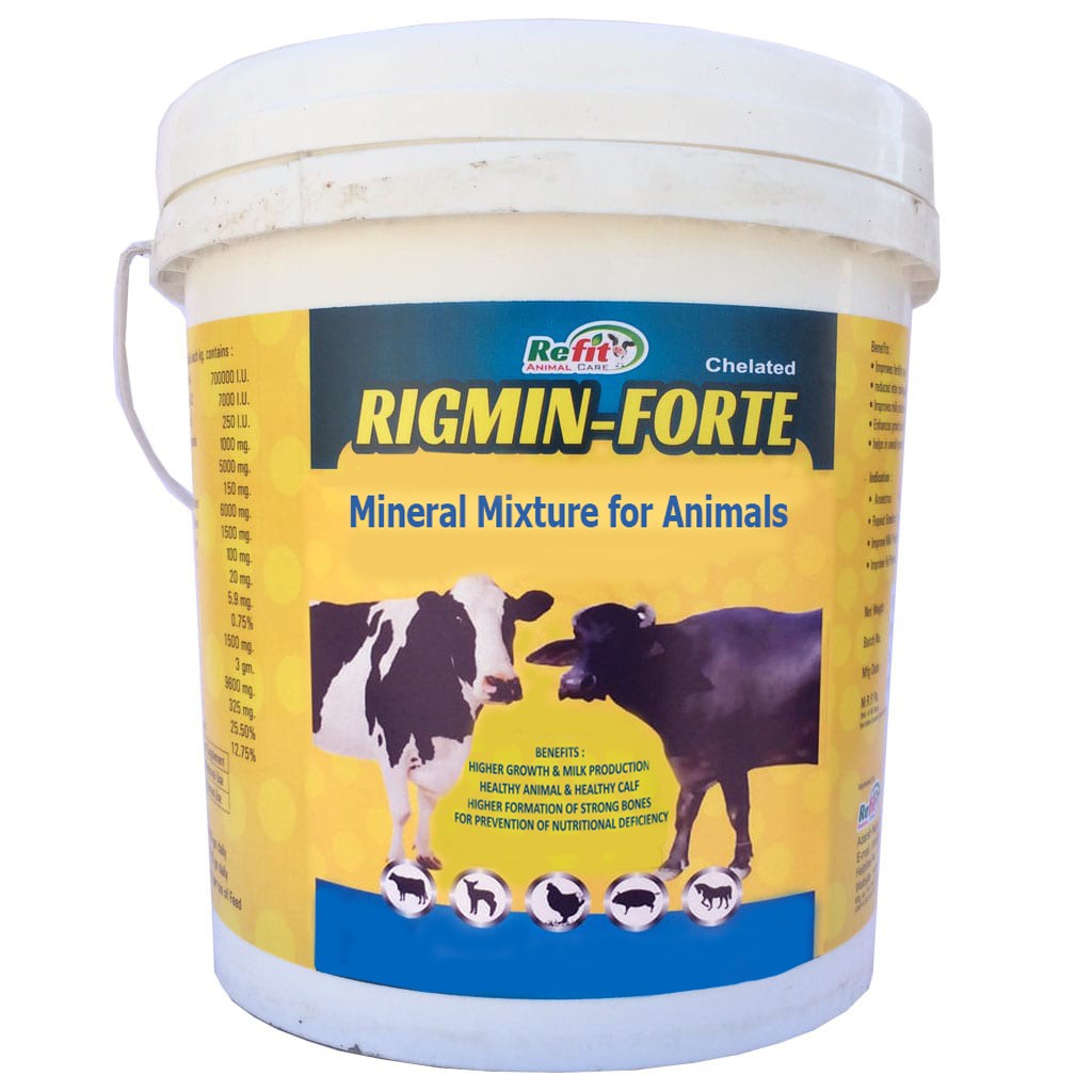 Mineral Mixture For Cow, 5 Kg, RIGMIN FORTE