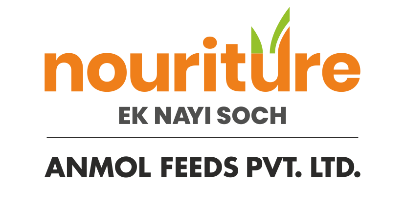 Nouriture