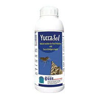 YUCCA SOL